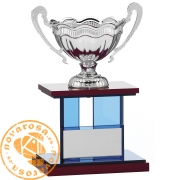 Trofeo de columnas de cristal