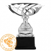 Copa de diseño plateada