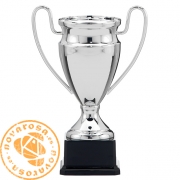 Réplica Copa de Europa