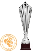 Copa de diseño plateada