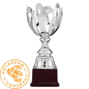 Copa de diseño plateada