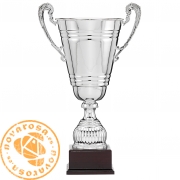 Silver classic cup with handles
