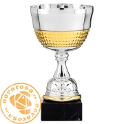 Silver and golden economic cup