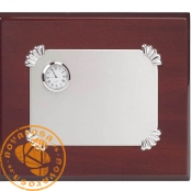 Silver jewelry plate