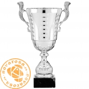 Silver classic cup with handles