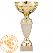 Golden economic cup