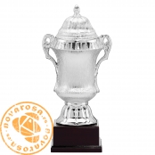 Silver ceramic trophy
